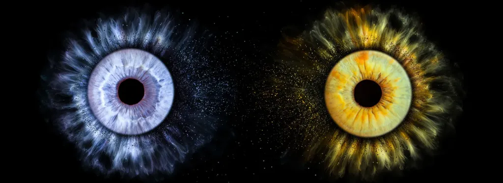Zwei Iris-Aufnahmen – eine blaue und eine grün-goldene Iris – vor schwarzem Hintergrund